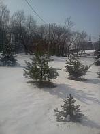 Podbořany